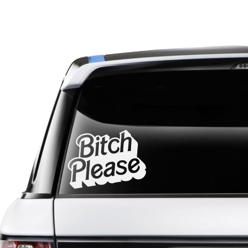 Bitch Please
