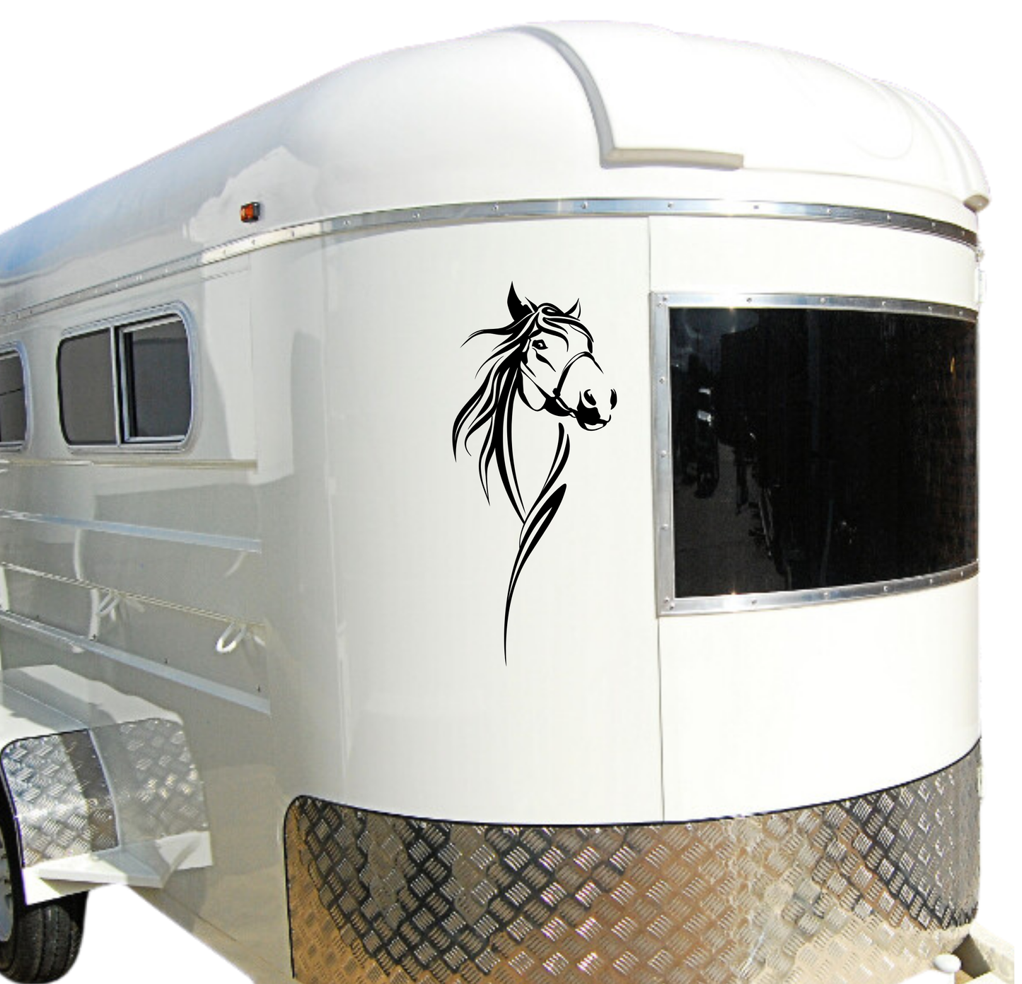 Large Horse Face - 2 Piece Mirrored Set