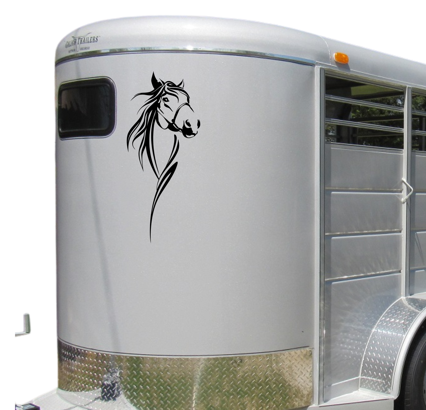 Large Horse Face - 2 Piece Mirrored Set
