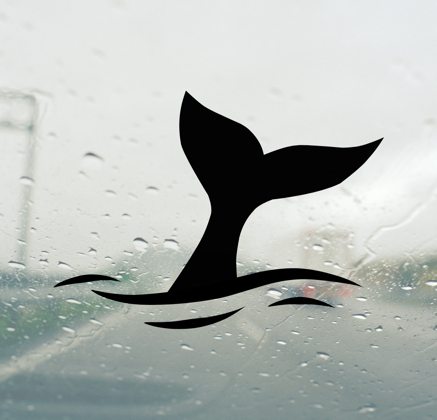 Whale Tail - Large