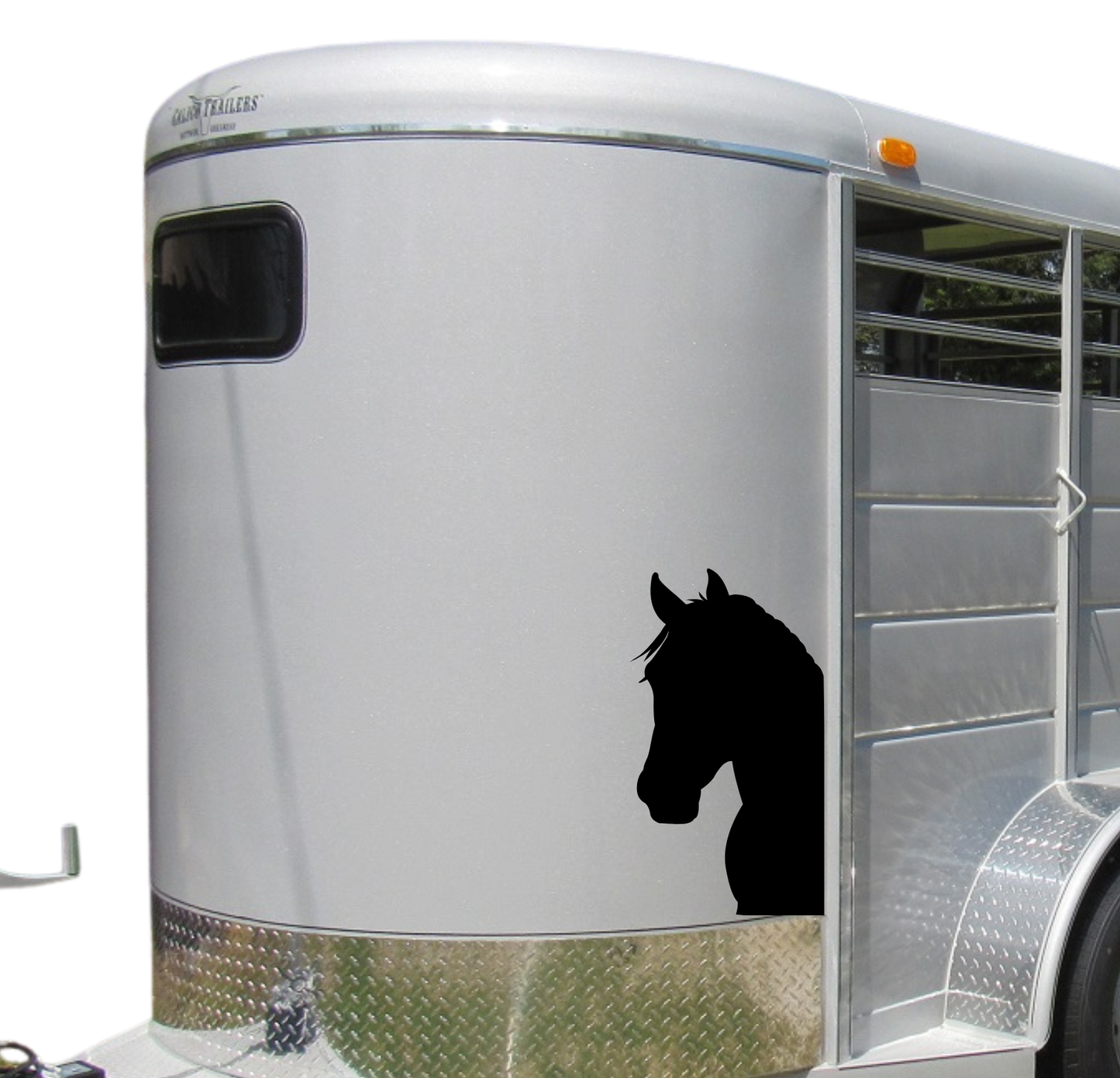 Peeking Horse Head - 2 Piece Mirrored Set