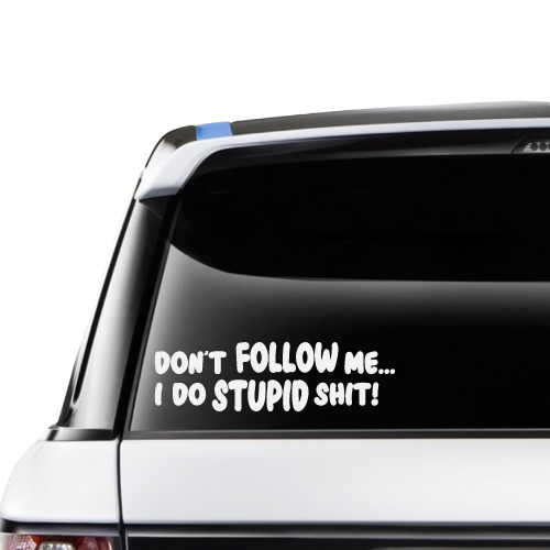 Don't Follow Me... I Do Stupid Shit