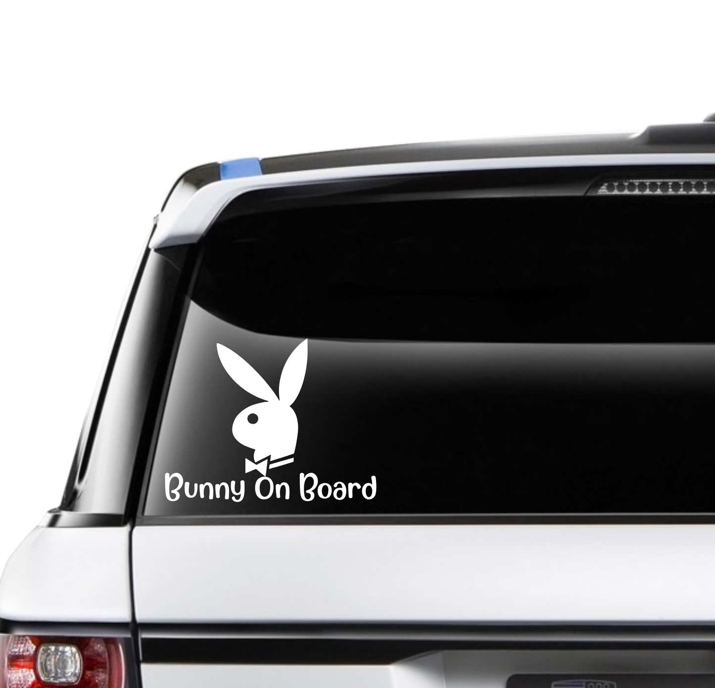 Bunny on Board
