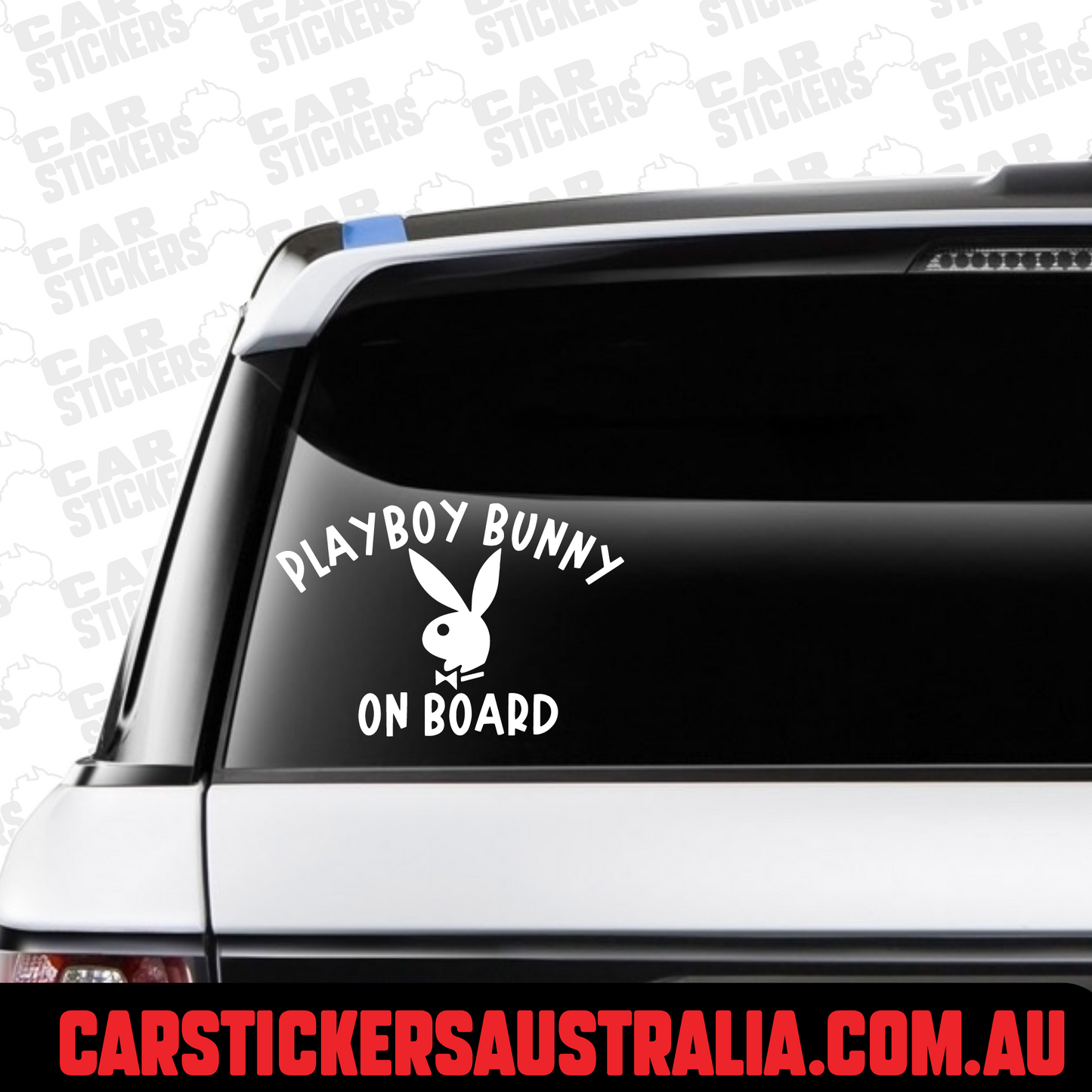 Playboy Bunny On Board