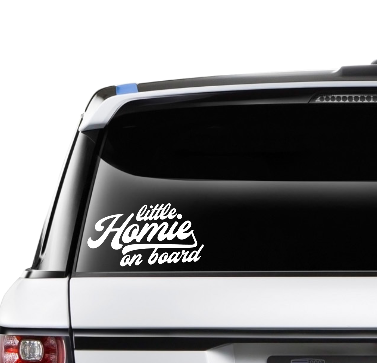 Little Homie on board