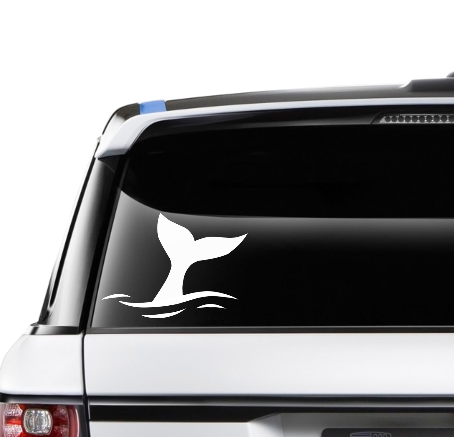 Whale Tail - Small