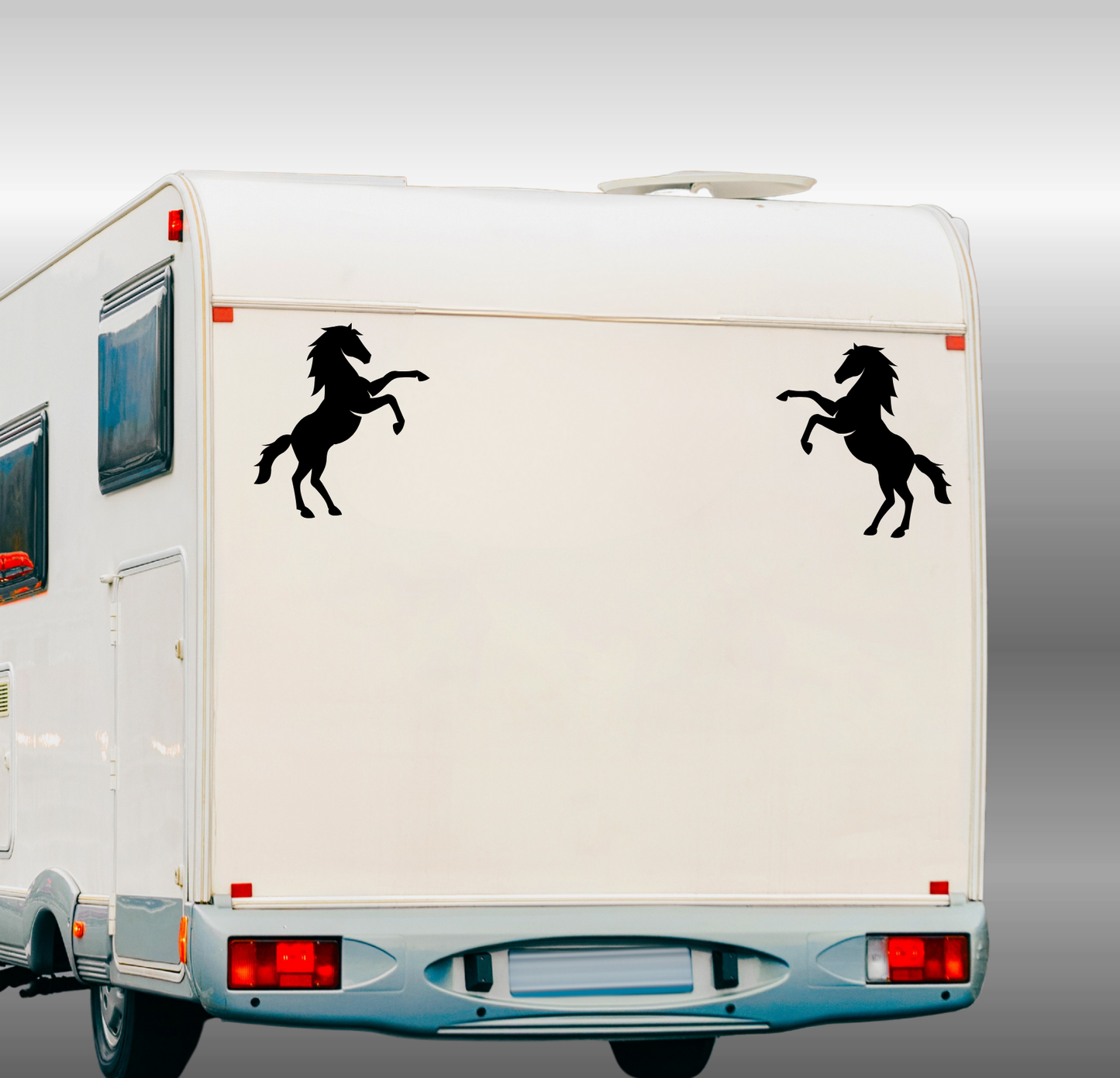 Horse Silhouette - 2 Piece Mirrored Set