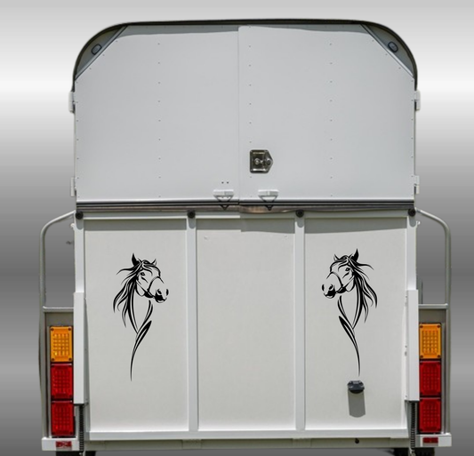 Large Horse Face - 2 Piece Mirrored Set