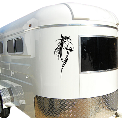Large Horse Face - 2 Piece Mirrored Set