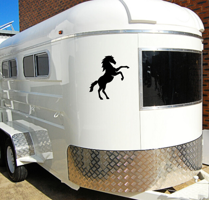Horse Silhouette - 2 Piece Mirrored Set
