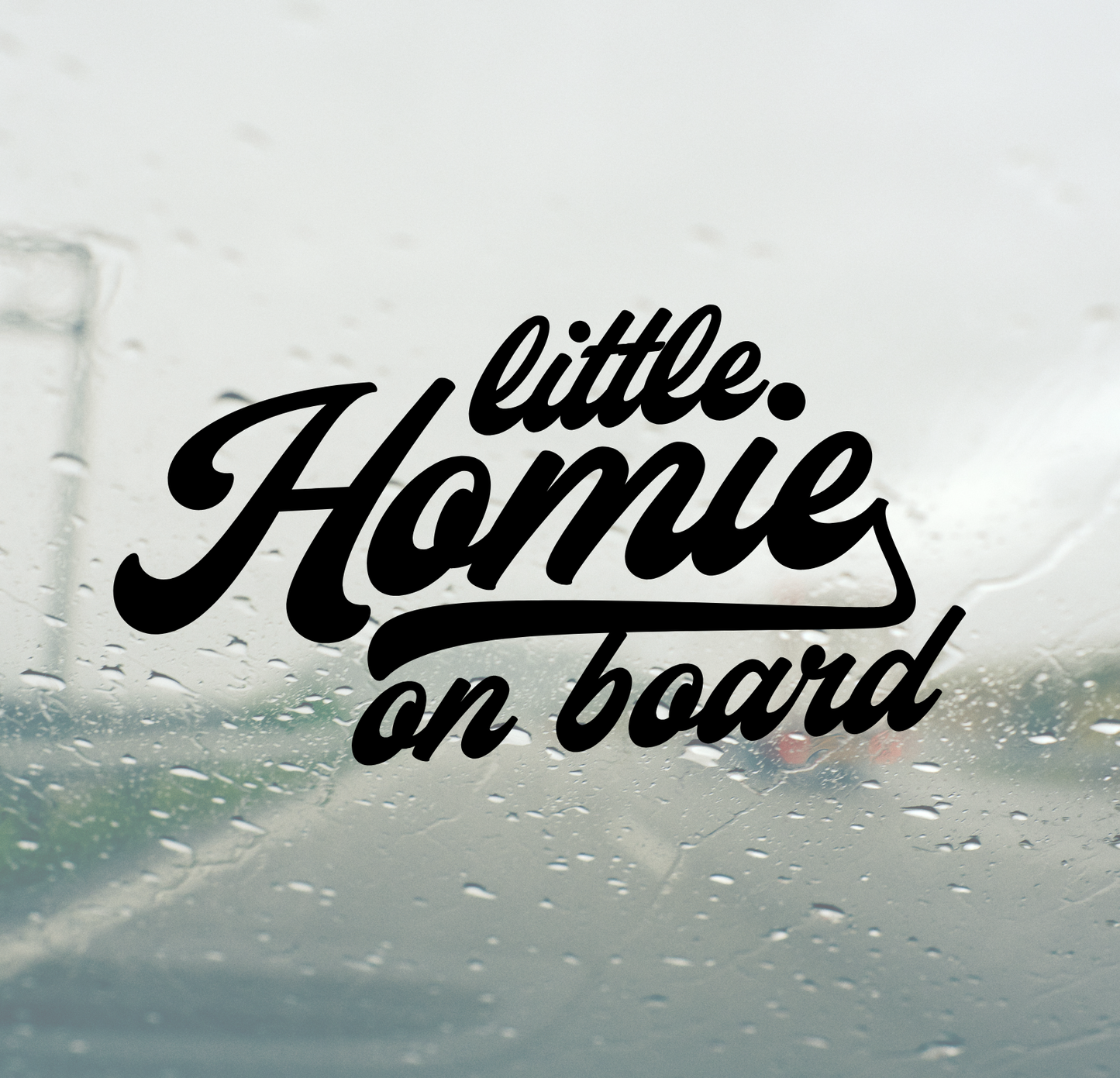 Little Homie on board