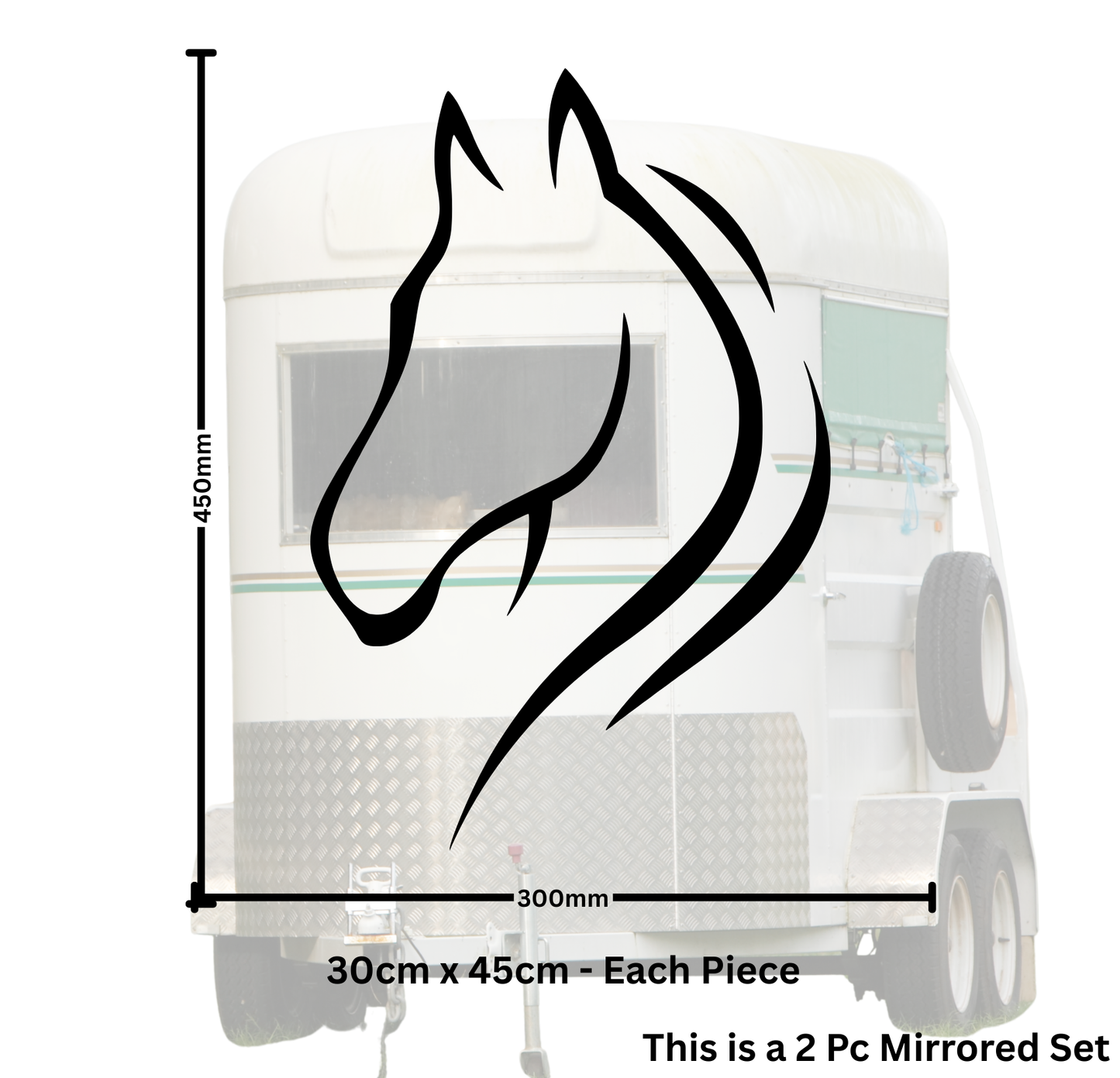 Line Art Horse Head - 2 Piece Mirrored Set