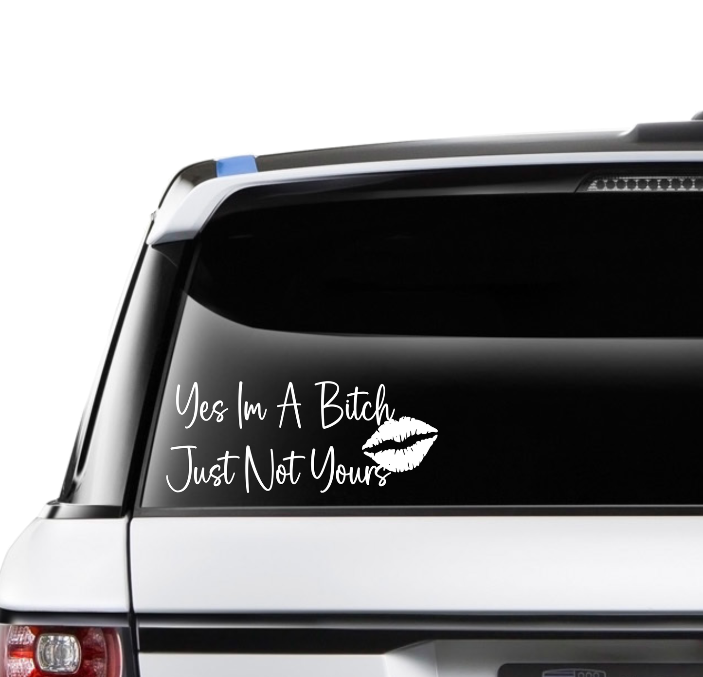 Yes I'm a Bitch, Just Not Yours w/Lips