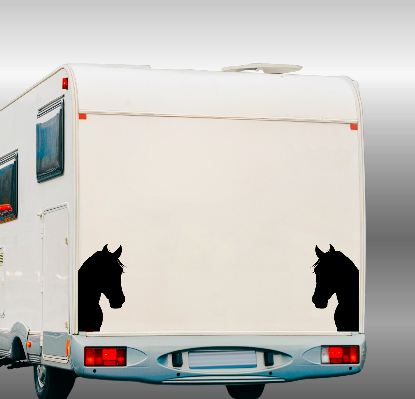 Peeking Horse Head - 2 Piece Mirrored Set