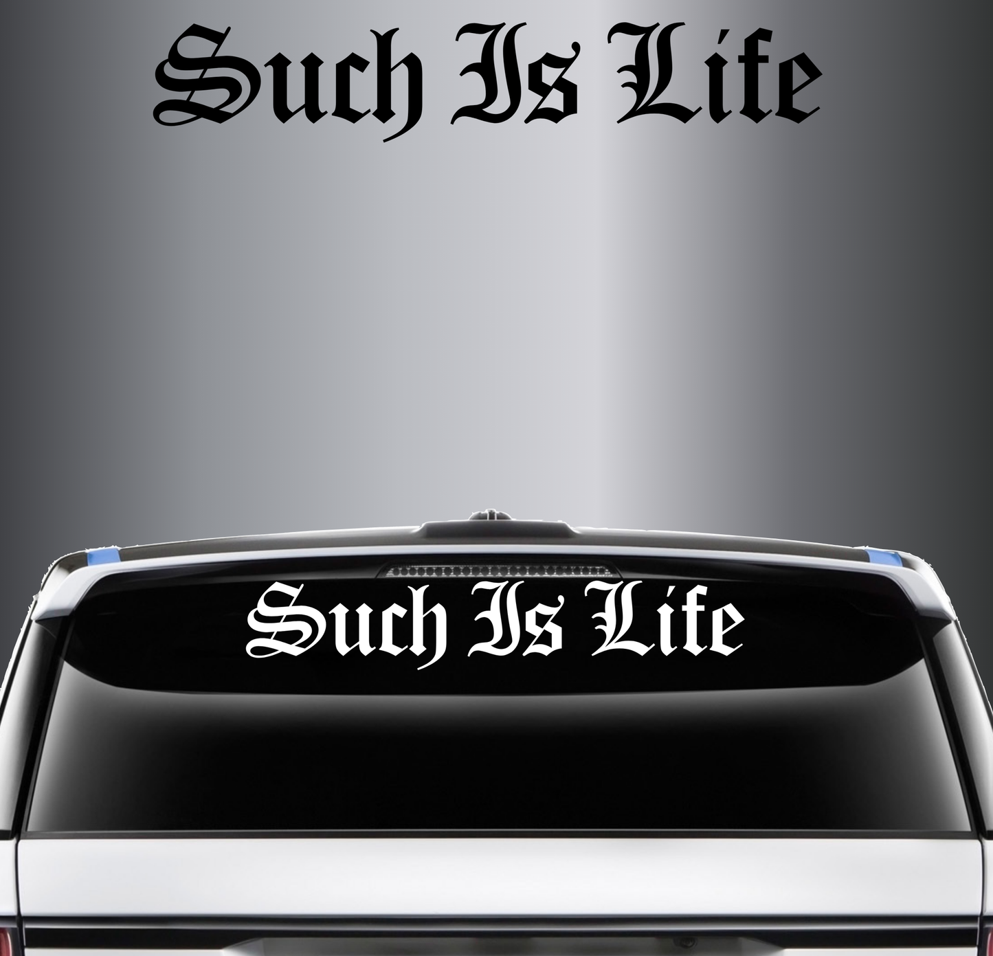 Such Is Life Banner