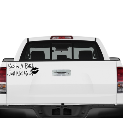 Yes I'm a Bitch, Just Not Yours w/Lips