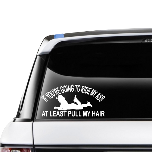 If You're Going to Ride My Ass At Least pull My Hair