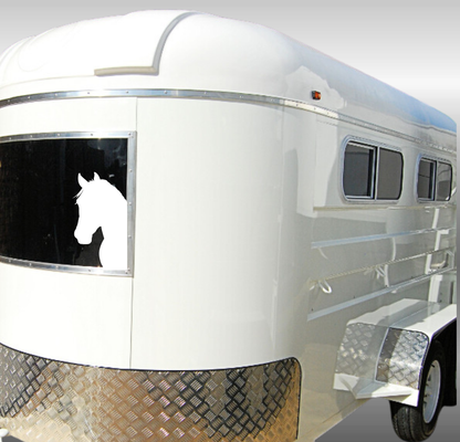 Peeking Horse Head - 2 Piece Mirrored Set