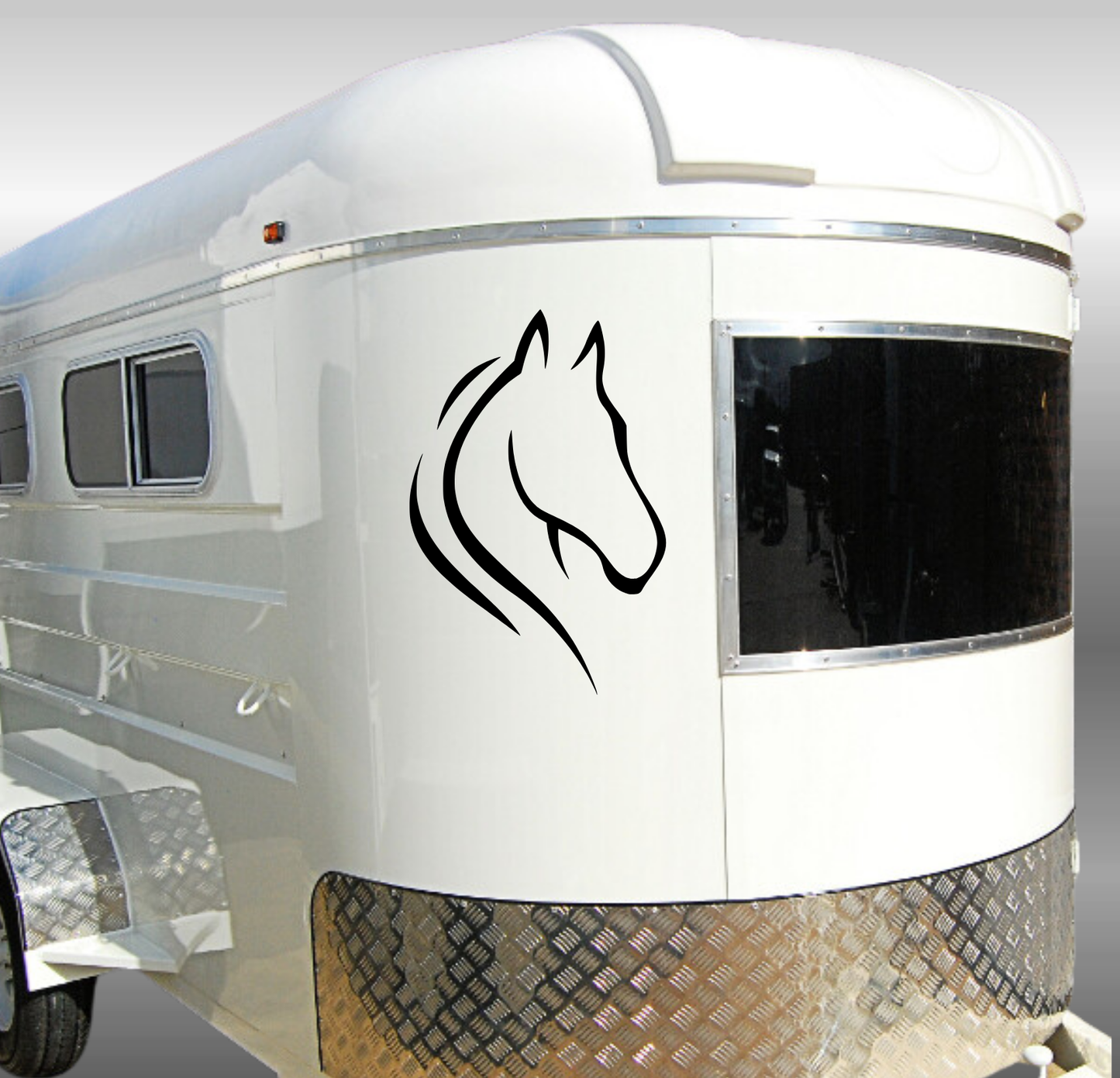 Line Art Horse Head - 2 Piece Mirrored Set
