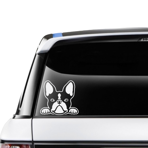 French Bulldog Peek a Boo Pup