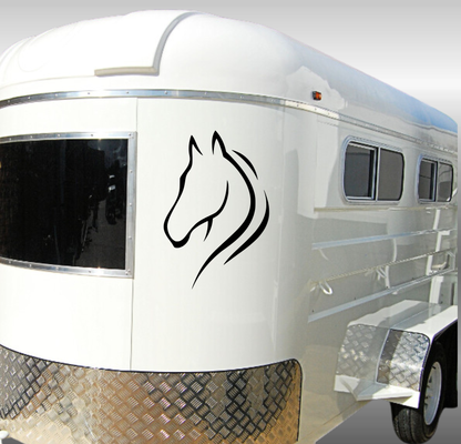 Line Art Horse Head - 2 Piece Mirrored Set
