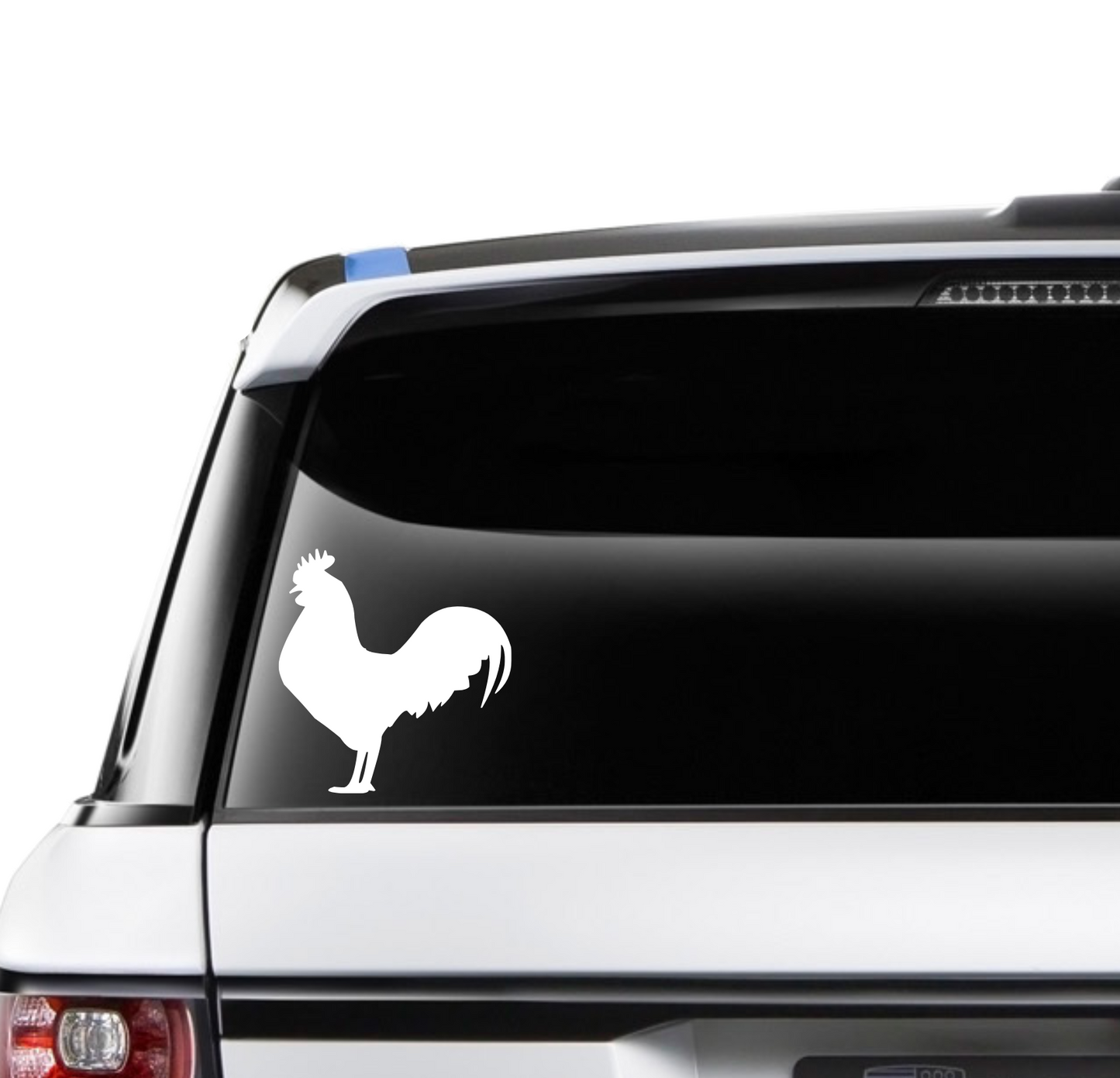 Rooster