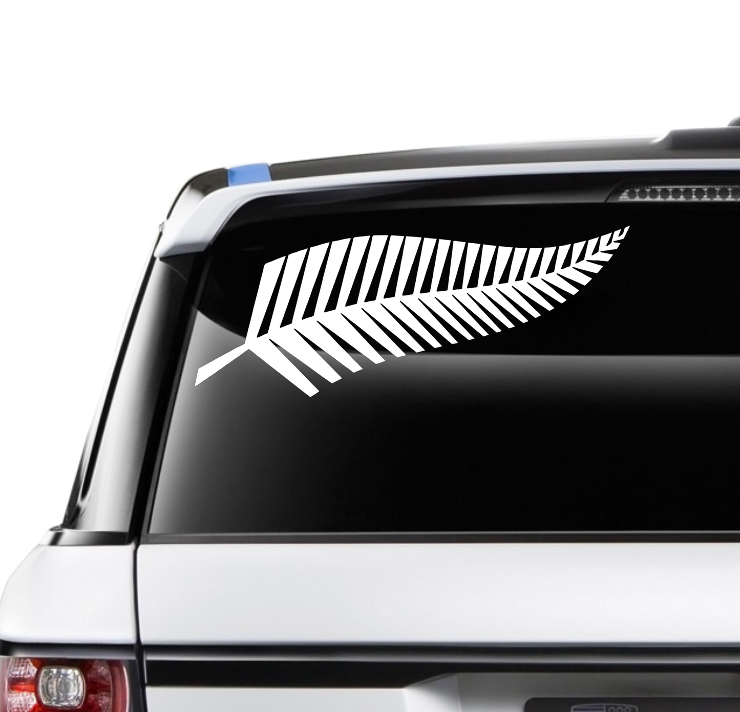 Silver Fern - Xtra Large Edition