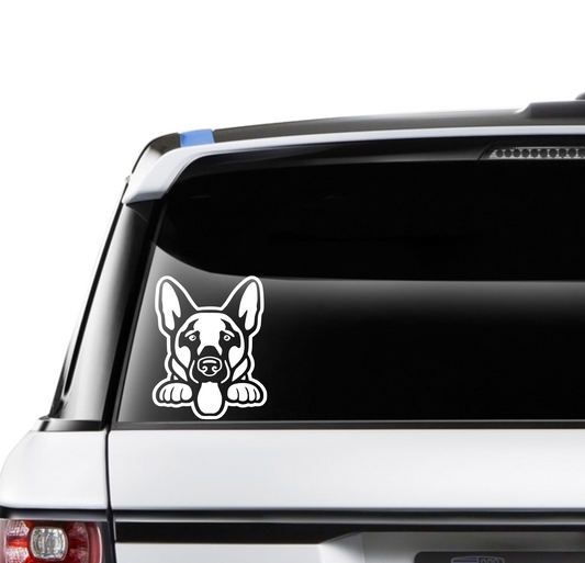 Peeking German Shepherd