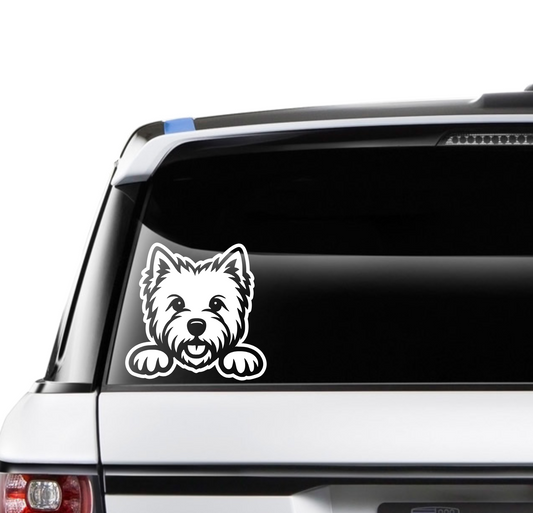 Peeking Westie Terrier