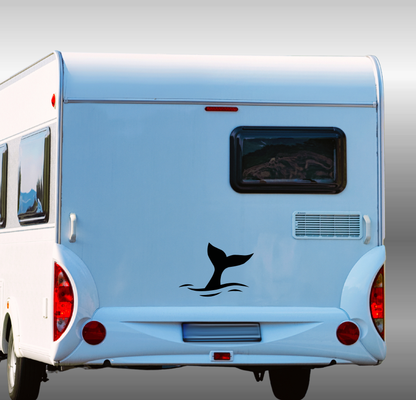 Whale Tail - Large